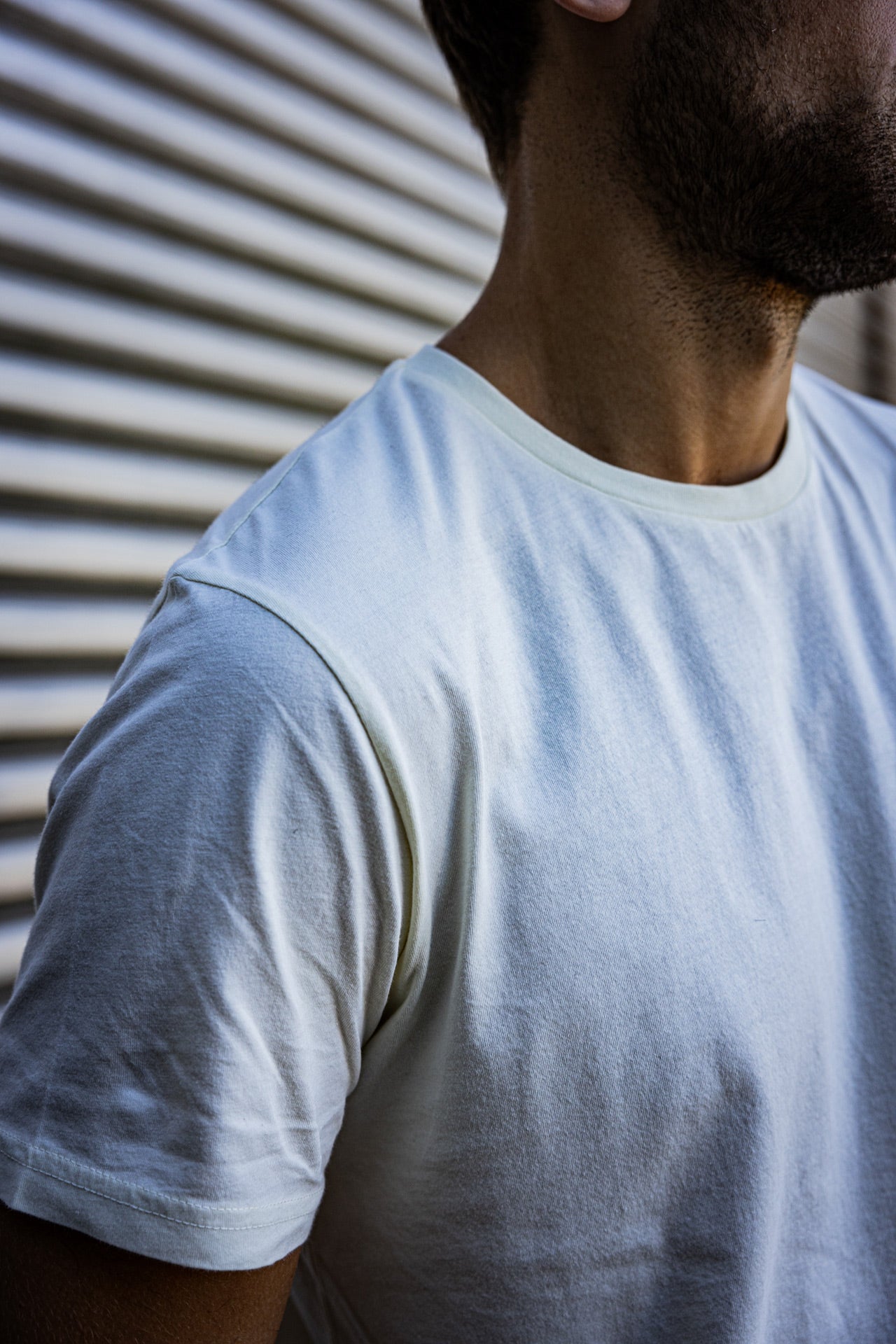 T-Shirt col rond Hombres Flavio Illinois egret | Freeman T. Porter