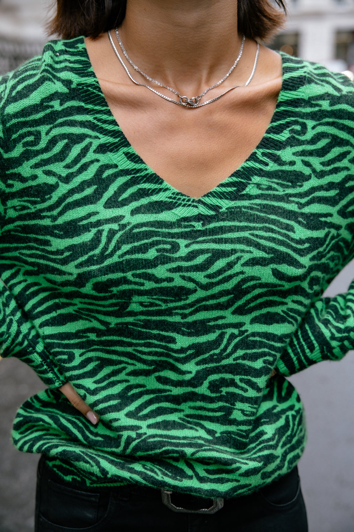 Pull imprimé zebré Frau Parina Zebra fern green | Freeman T. Porter