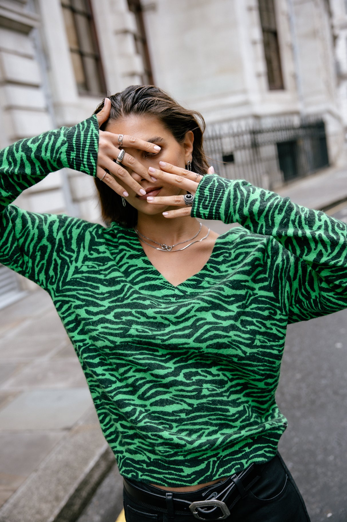 Pull imprimé zebré Frau Parina Zebra fern green | Freeman T. Porter