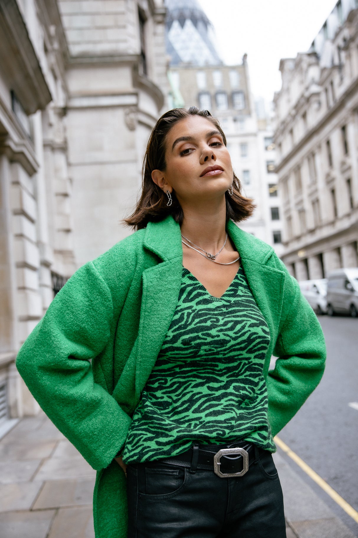 Pull imprimé zebré Frau Parina Zebra fern green | Freeman T. Porter