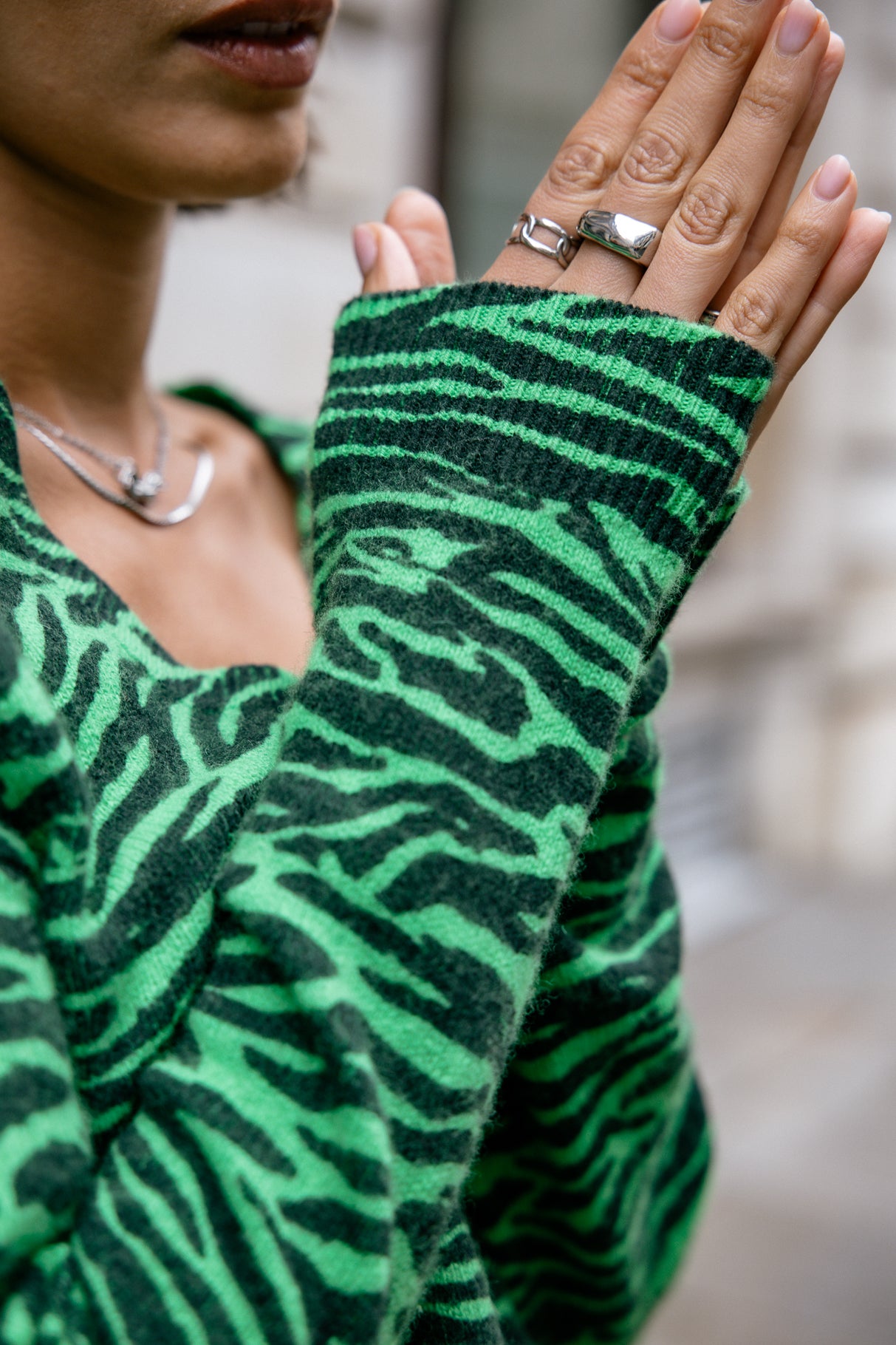 Pull imprimé zebré Frau Parina Zebra fern green | Freeman T. Porter