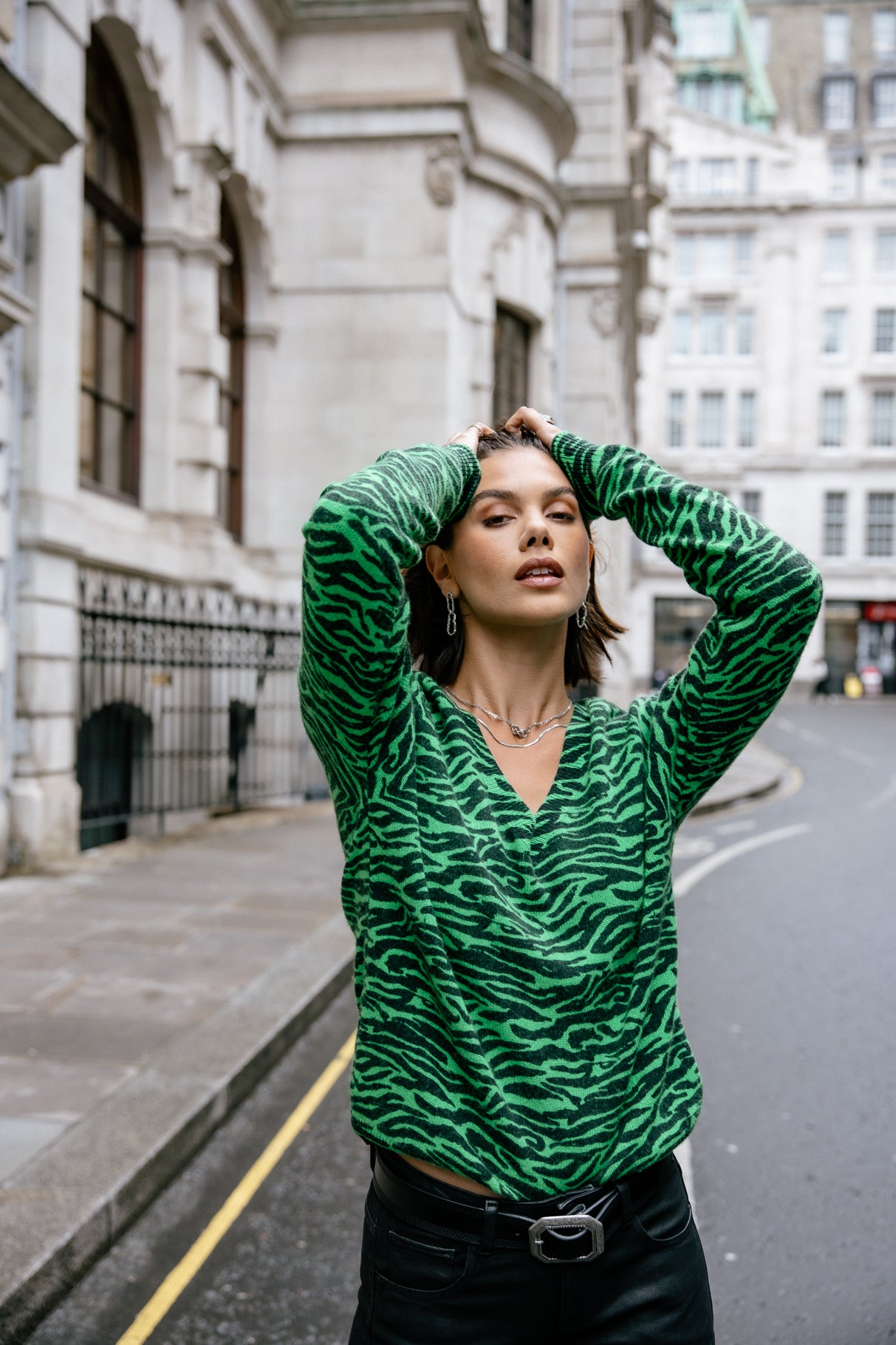 Pull imprimé zebré Frau Parina Zebra fern green | Freeman T. Porter