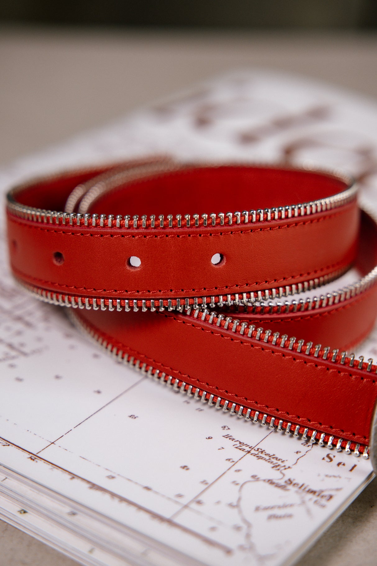 Ceinture en cuir Femme Zipy salsa | Freeman T. Porter