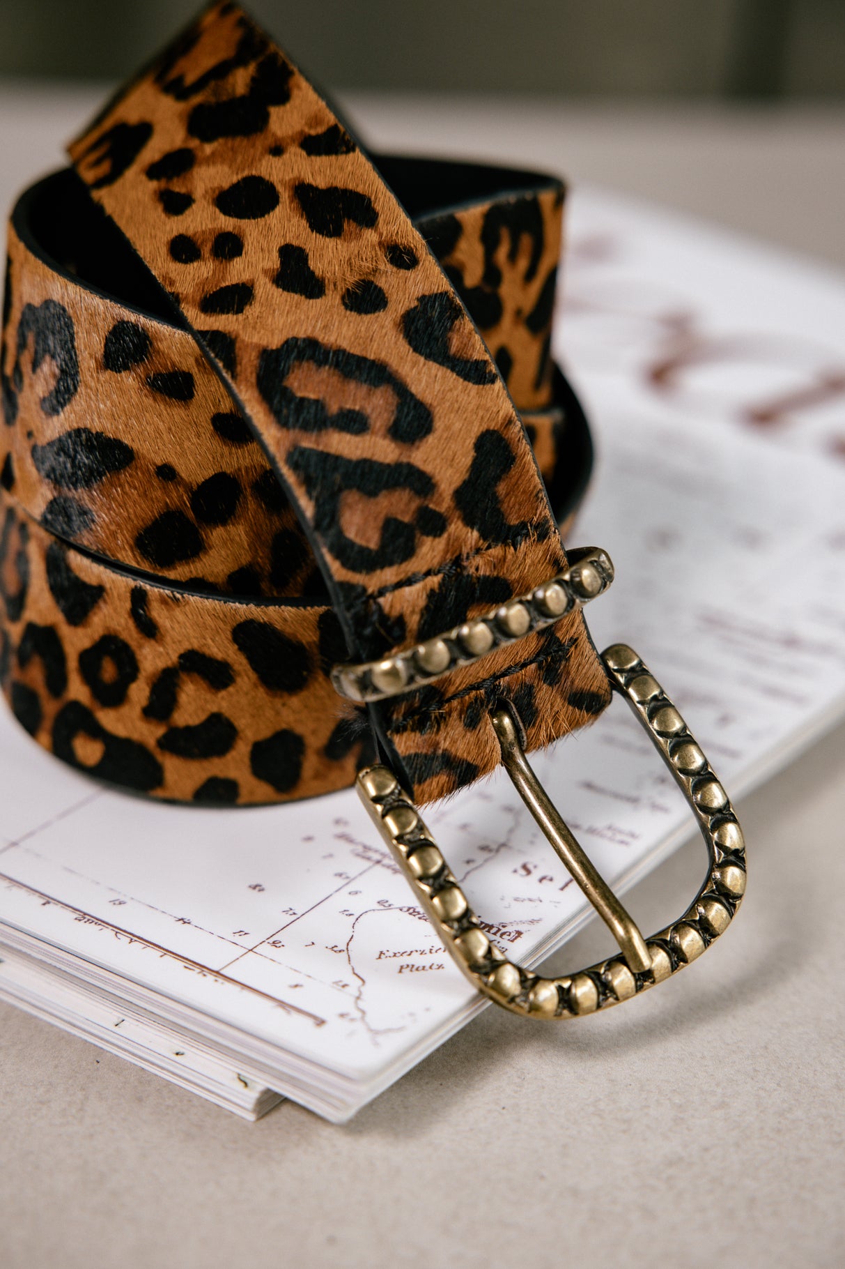 Ceinture en cuir Femme Pony leo | Freeman T. Porter