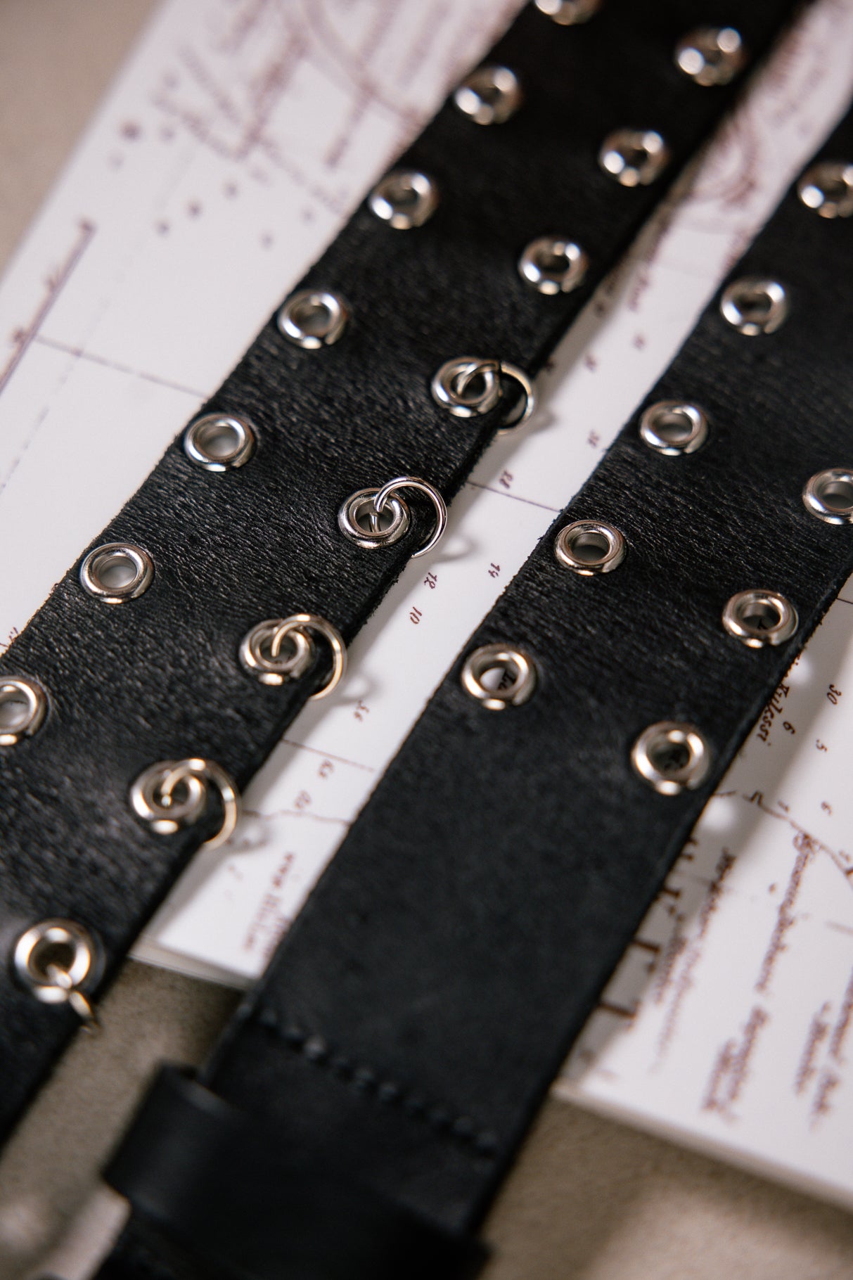 Ceinture en cuir Femme Bridge black | Freeman T. Porter