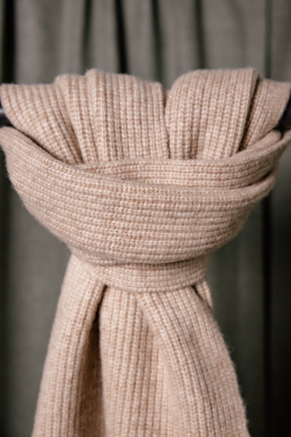 Écharpe Femme Elina Plain camel | Freeman T. Porter