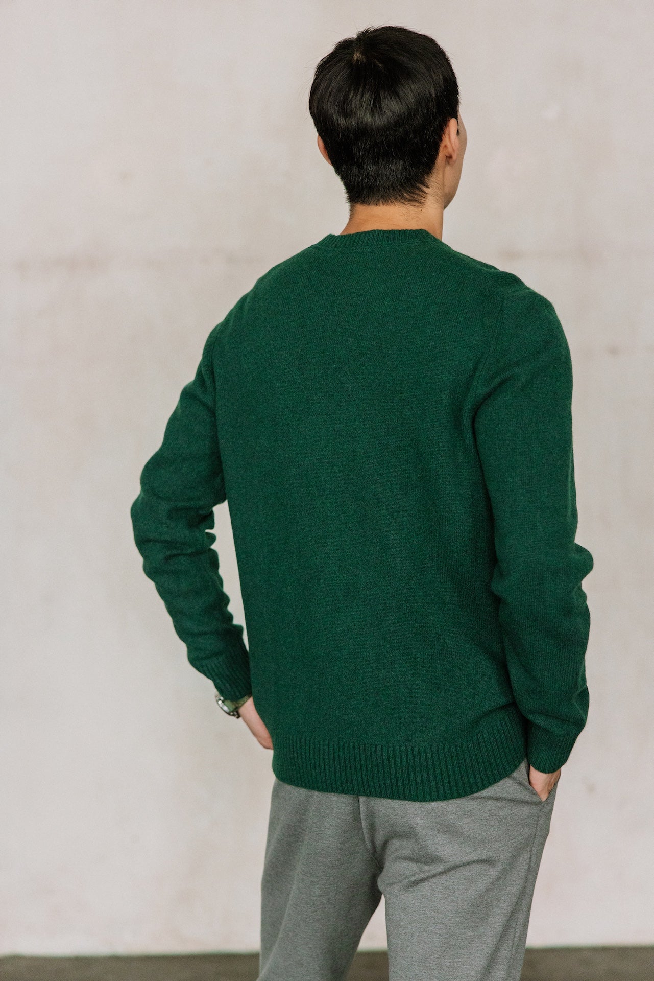 Pull en laine Hombres Solino Lainey scarab | Freeman T. Porter