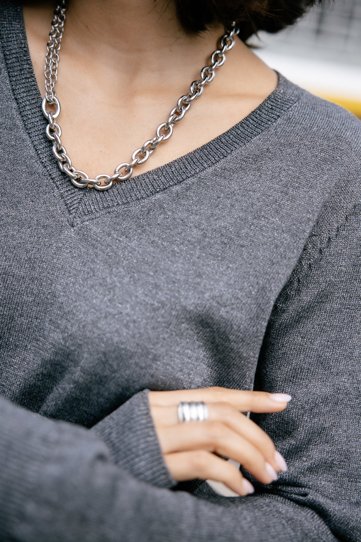 Pull icon dos Femme Lorel silver | Freeman T. Porter
