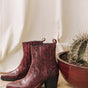 

Boots Femme Teresa Phyton bordeaux | Freeman T. Porter