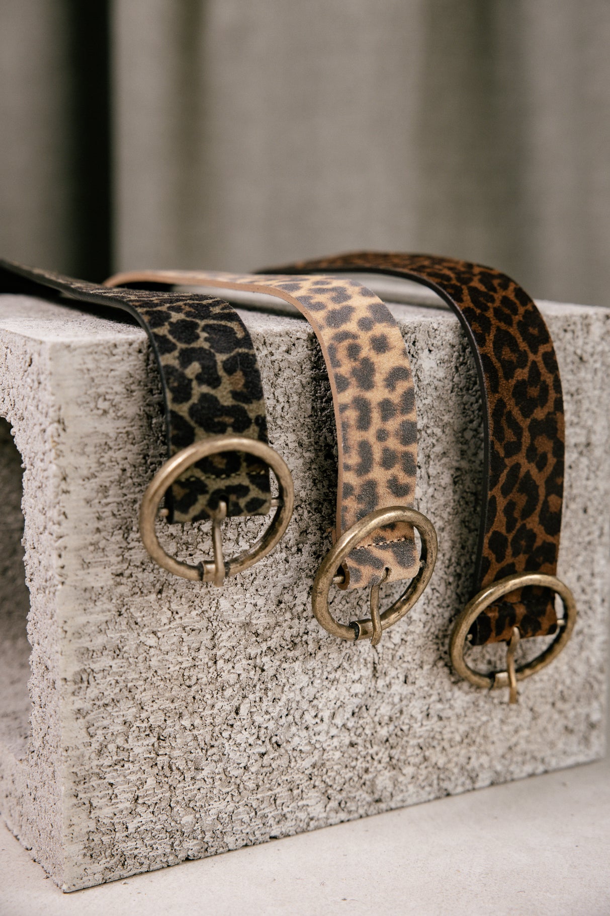 

Ceinture en cuir Femme Angelisa Leo brown | Freeman T. Porter