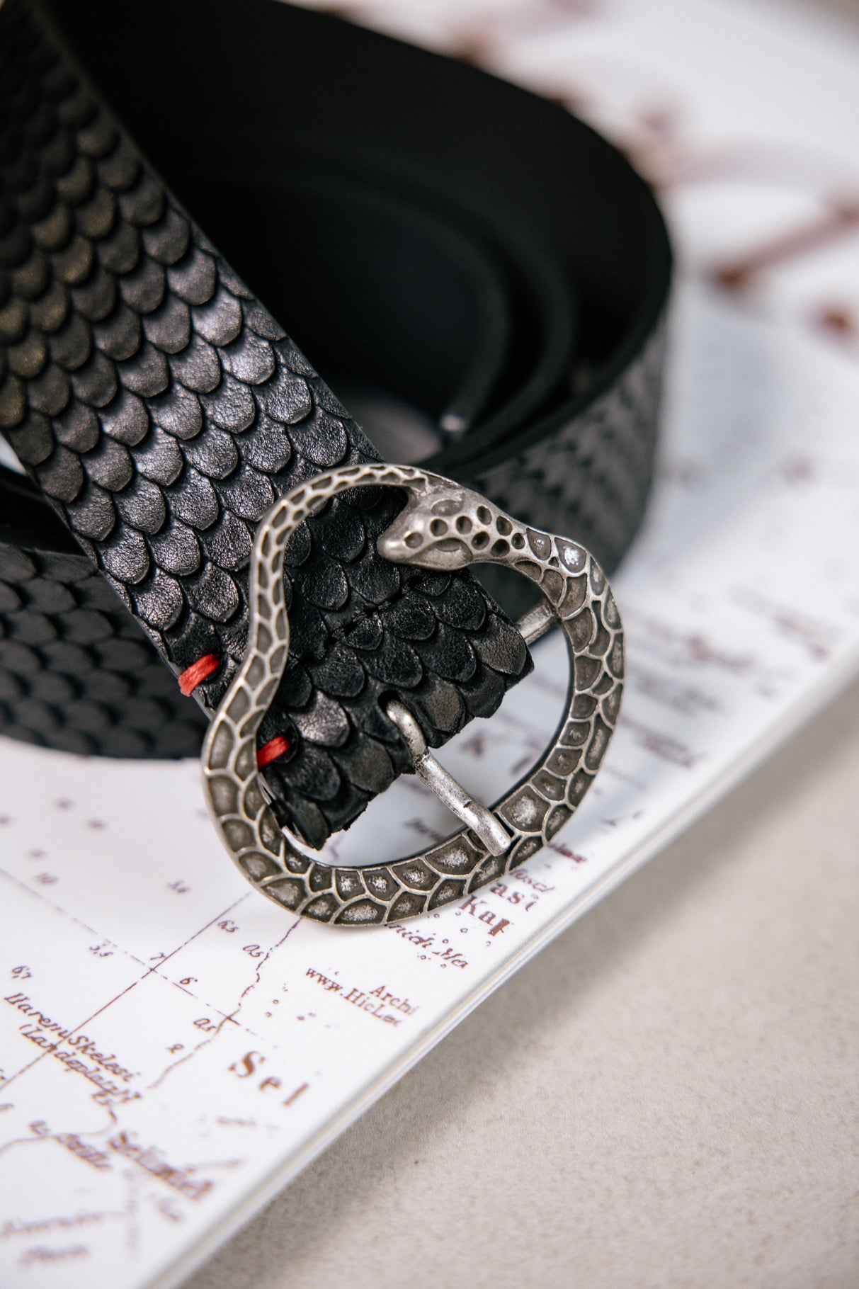
              

Ceinture en cuir Femme Vedra Snake black | Freeman T. Porter
            