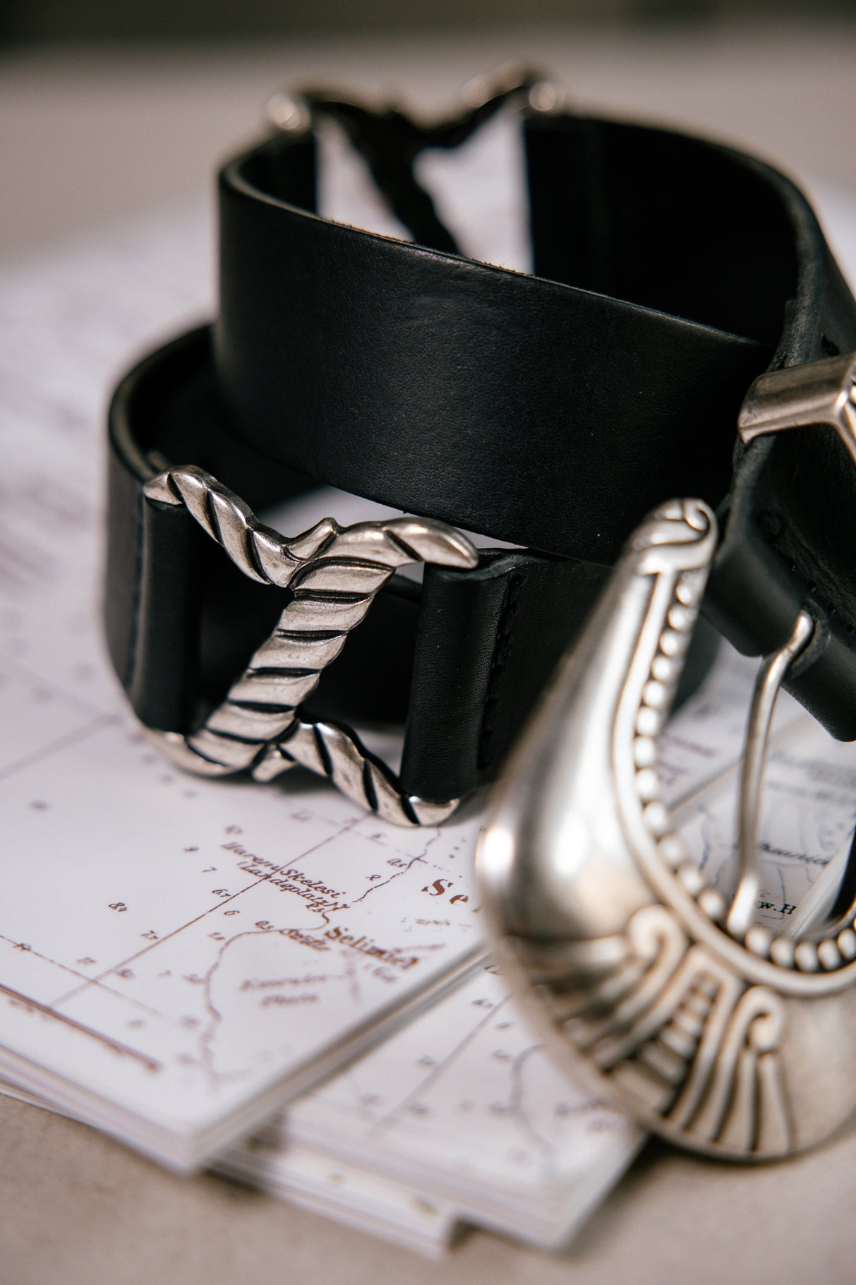 

Ceinture en cuir Femme Alkemi black | Freeman T. Porter