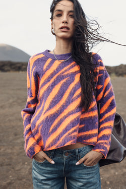

Pull en jacquard Femme Parisi Zebra orange / purple | Freeman T. Porter