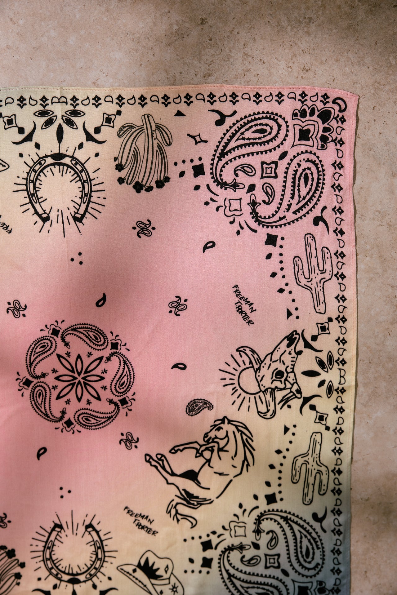 

Foulard Femme Folka Paisley Small multicolor | Freeman T. Porter