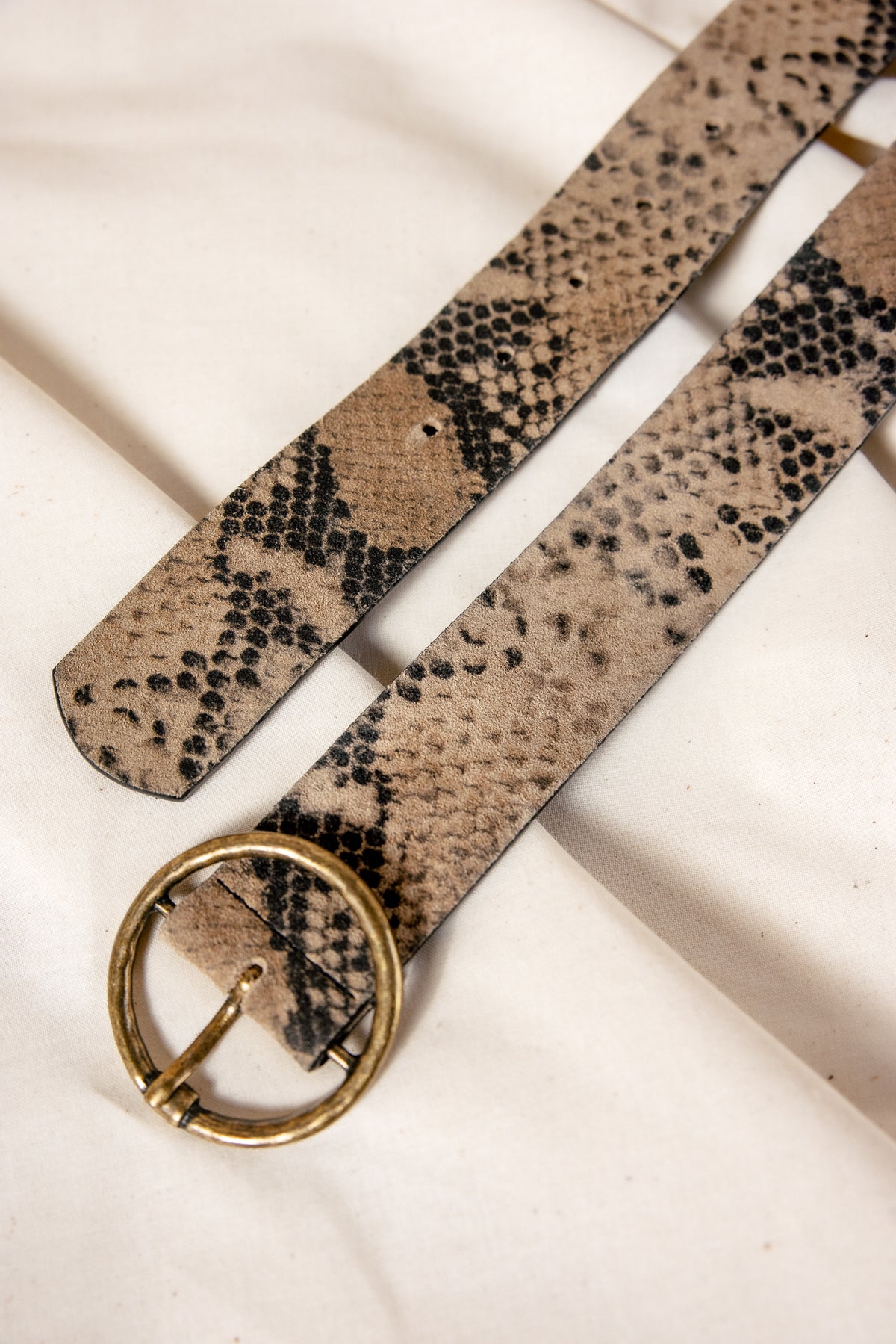 
              

Ceinture en cuir Femme Angelisa Python beige | Freeman T. Porter
            